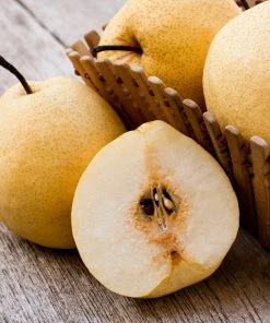 Brighter Blooms 20th Century (Nijisseiki) Asian Pear Tree Fruit Trees 6 Brighter Blooms 20th Century (Nijisseiki) Asian Pear Tree Fruit Trees