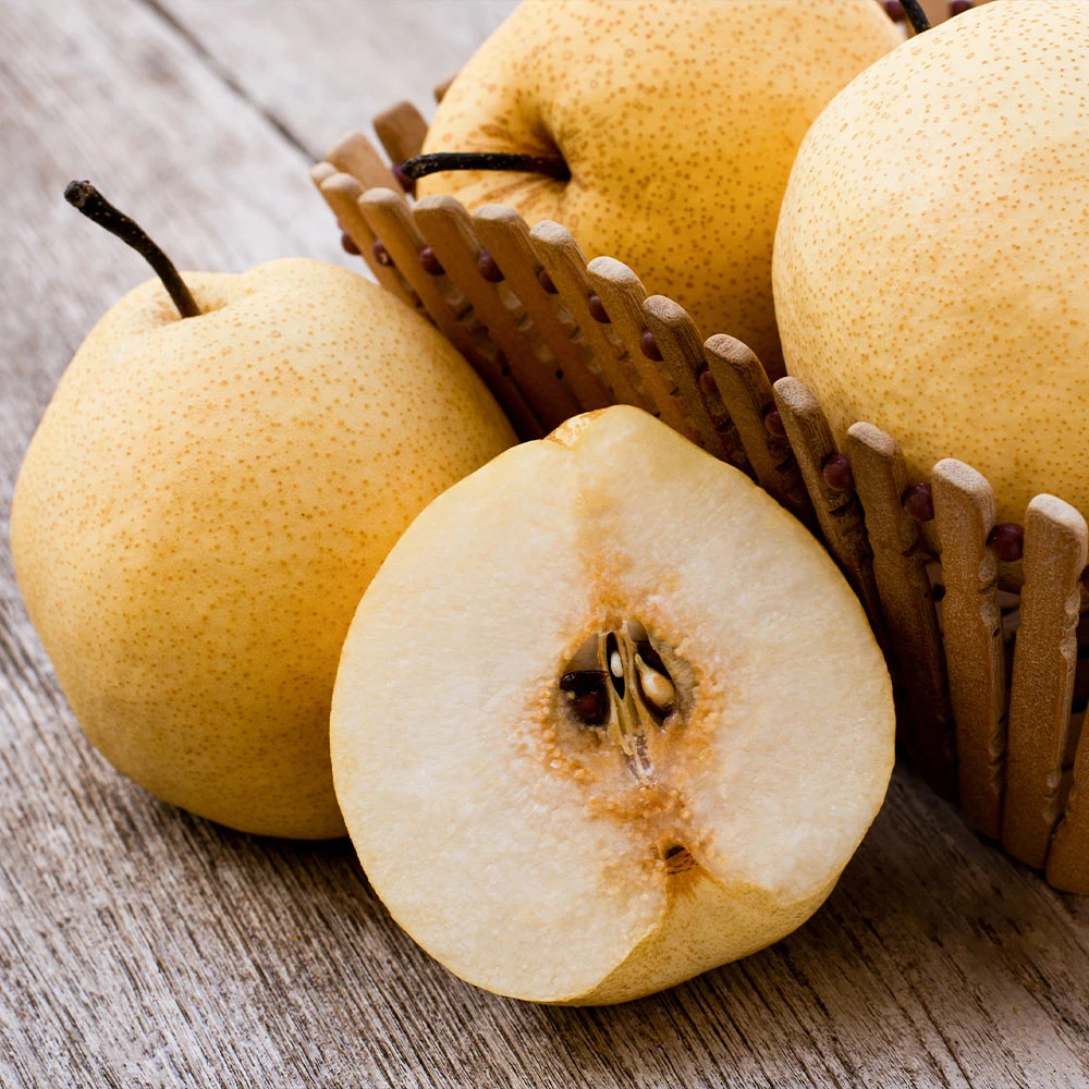Brighter Blooms 20th Century (Nijisseiki) Asian Pear Tree Fruit Trees 3 Brighter Blooms 20th Century (Nijisseiki) Asian Pear Tree Fruit Trees