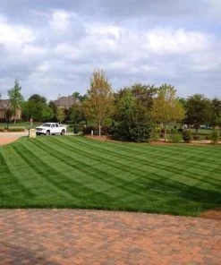 Brighter Blooms Lesco Tall Fescue Select Grass Seed 5 Brighter Blooms Lesco Tall Fescue Select Grass Seed