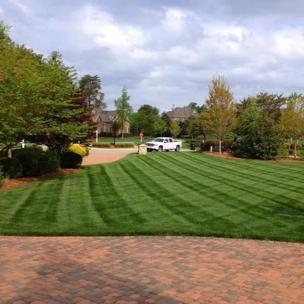 Brighter Blooms Lesco All Pro Transition Blend Grass Seed Erosion Control Plants 3 Brighter Blooms Lesco All Pro Transition Blend Grass Seed Erosion Control Plants