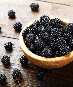 Brighter Blooms 3-in-1 Blackberry Bush