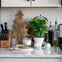 Brighter Blooms Fruit Trees Arabica Coffee Gift Plant