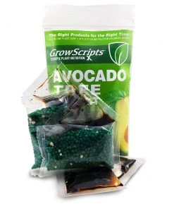 Brighter Blooms Avocado Tree Care Kit 7 Brighter Blooms Avocado Tree Care Kit