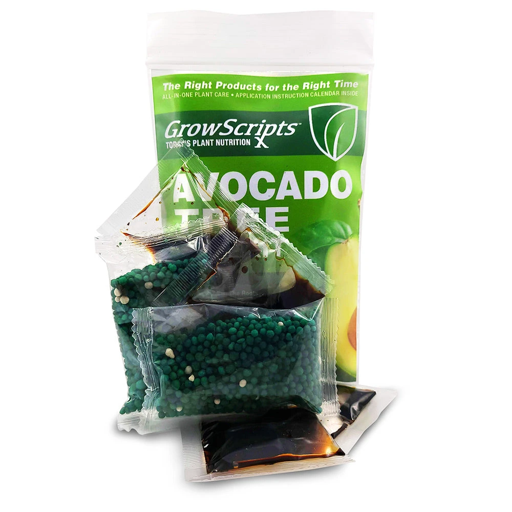 Brighter Blooms Avocado Tree Care Kit 3 Brighter Blooms Avocado Tree Care Kit