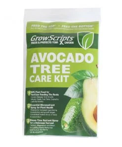 Brighter Blooms Avocado Tree Care Kit