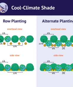 Brighter Blooms Shrubs & Hedges Cool-Climate Shade Garden Kit 8 Brighter Blooms Shrubs & Hedges Cool-Climate Shade Garden Kit