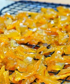 Brighter Blooms Buddha's Hand Citron Tree 11 Brighter Blooms Buddha's Hand Citron Tree