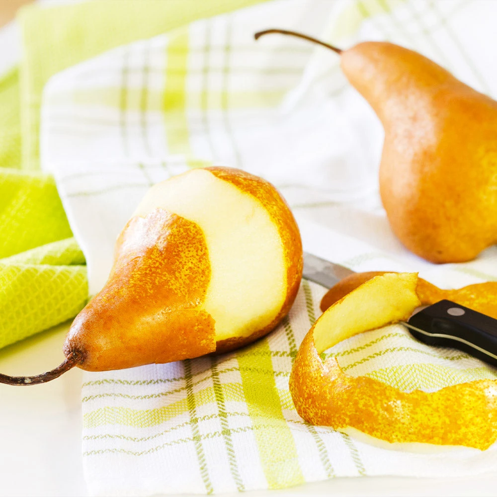 Brighter Blooms Bosc Pear Tree Pear Trees 4 Brighter Blooms Bosc Pear Tree Pear Trees