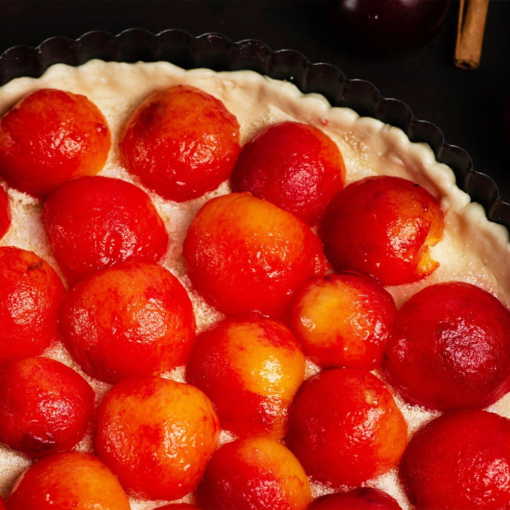 Brighter Blooms Bubblegum 'Toka' Plum Tree 5 Brighter Blooms Bubblegum 'Toka' Plum Tree