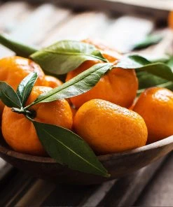 Brighter Blooms California Honey Mandarin Tree 9 Brighter Blooms California Honey Mandarin Tree