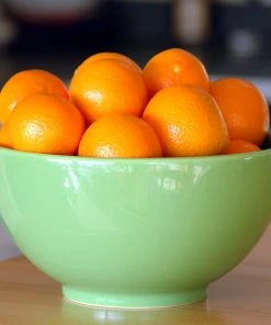 Brighter Blooms Calamondin Orange Tree 9 Brighter Blooms Calamondin Orange Tree