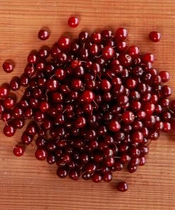 Brighter Blooms Canada Red Chokecherry Tree SHOP ALL 9 Brighter Blooms Canada Red Chokecherry Tree SHOP ALL