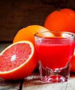 Brighter Blooms Cara Cara Navel Orange Tree