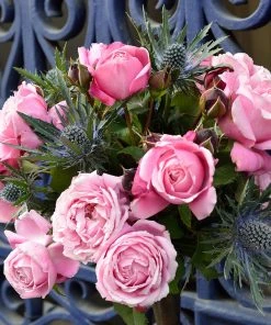 Brighter Blooms Cathedral Bells Rose 7 Brighter Blooms Cathedral Bells Rose