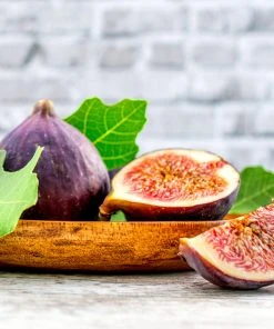 Brighter Blooms Chicago Hardy Fig Tree Fruit Trees 8 Brighter Blooms Chicago Hardy Fig Tree Fruit Trees