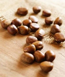 Brighter Blooms Chinese Chestnut Tree 7 Brighter Blooms Chinese Chestnut Tree