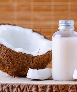 BrighterBlooms.com Palm Trees Coconut Palm Tree 11 BrighterBlooms.com Palm Trees Coconut Palm Tree