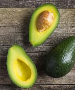 Brighter Blooms Cold Hardy Avocado Tree Fruit Trees 9 Brighter Blooms Cold Hardy Avocado Tree Fruit Trees