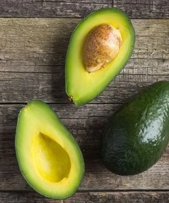 Brighter Blooms Cold Hardy Avocado Tree Fruit Trees