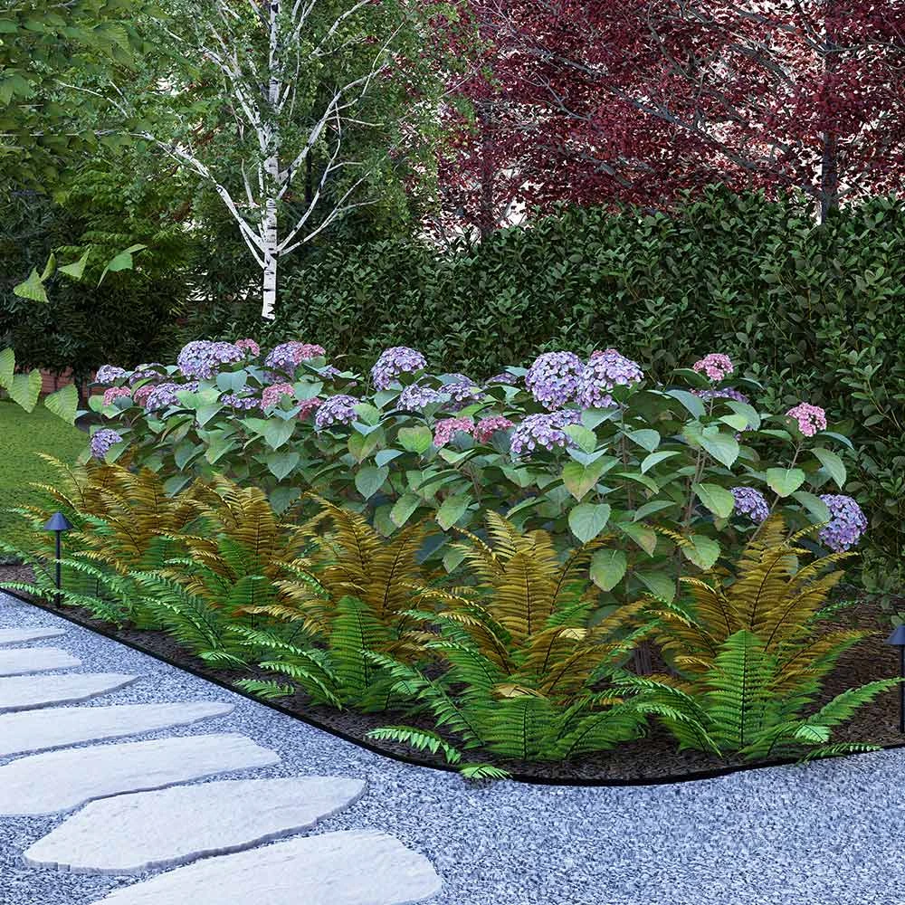 Brighter Blooms Shrubs & Hedges Cool-Climate Shade Garden Kit 2 Brighter Blooms Shrubs & Hedges Cool-Climate Shade Garden Kit