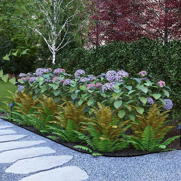Brighter Blooms Shrubs & Hedges Cool-Climate Shade Garden Kit 1 Brighter Blooms Shrubs & Hedges Cool-Climate Shade Garden Kit