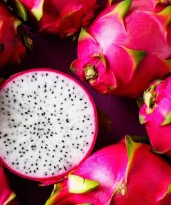 Brighter Blooms Dragon Fruit Cactus SHOP ALL 10 Brighter Blooms Dragon Fruit Cactus SHOP ALL