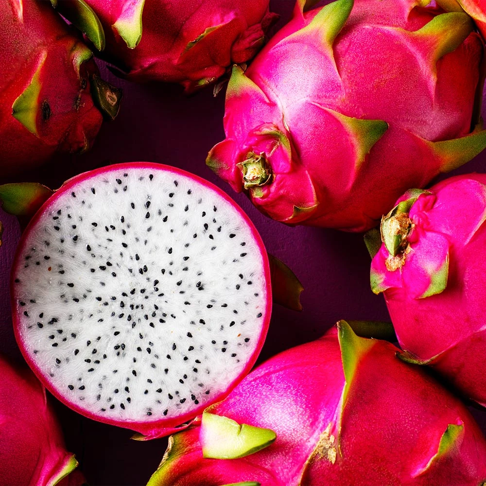 Brighter Blooms Dragon Fruit Cactus SHOP ALL 3 Brighter Blooms Dragon Fruit Cactus SHOP ALL