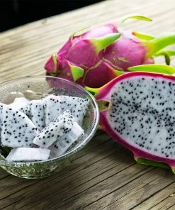 Brighter Blooms Dragon Fruit Cactus SHOP ALL 13 Brighter Blooms Dragon Fruit Cactus SHOP ALL