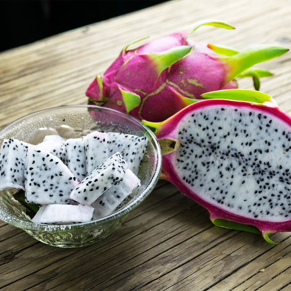 Brighter Blooms Dragon Fruit Cactus SHOP ALL 6 Brighter Blooms Dragon Fruit Cactus SHOP ALL