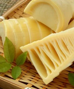 Brighter Blooms Evergreen & Privacy Edible Bamboo Plant 8 Brighter Blooms Evergreen & Privacy Edible Bamboo Plant