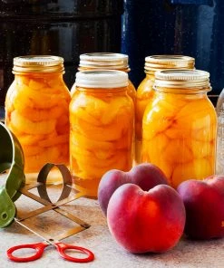 Brighter Blooms Elberta Peach Tree Fruit Trees 7 Brighter Blooms Elberta Peach Tree Fruit Trees