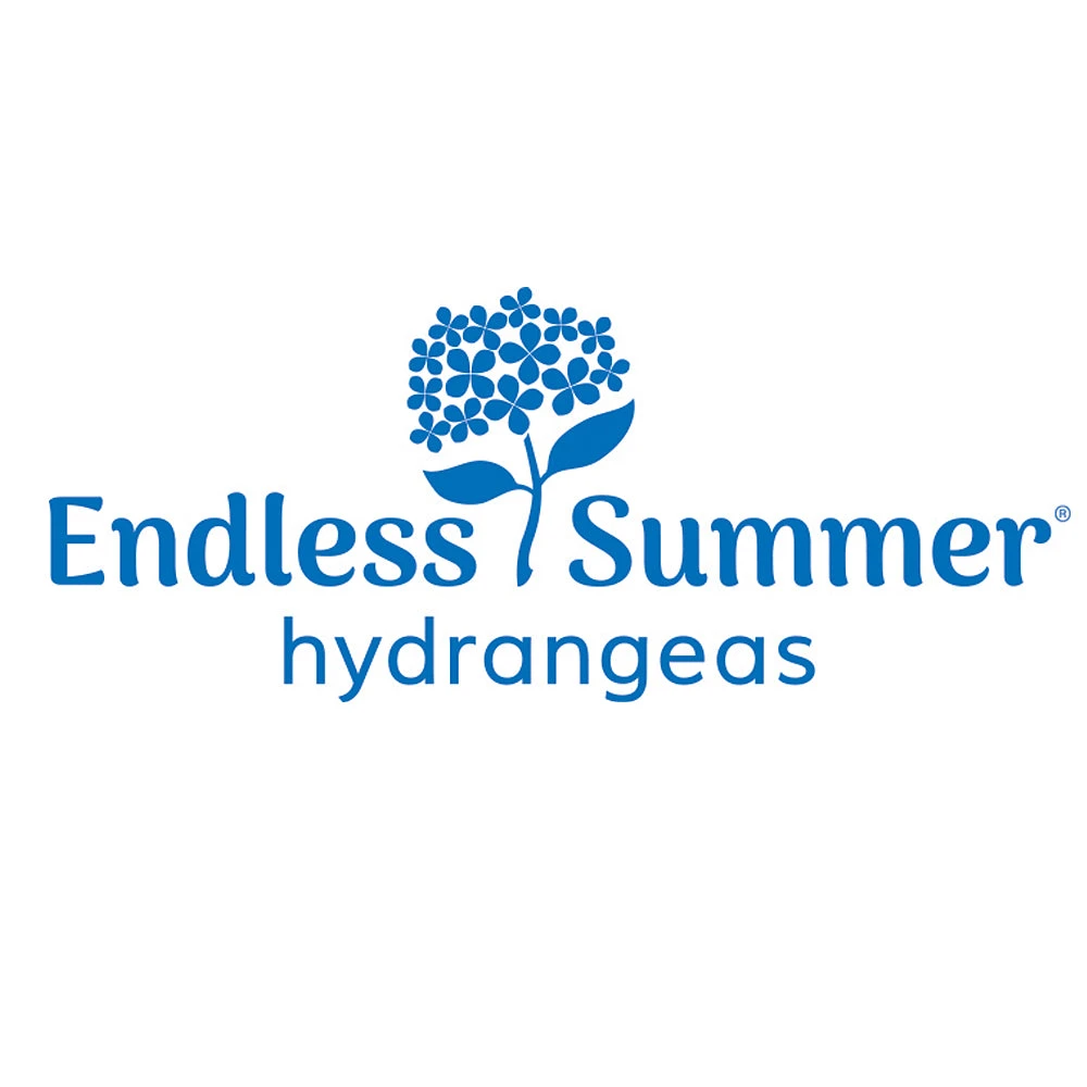Brighter Blooms Shrubs & Hedges Endless Summer® Hydrangea Shrub 6 Brighter Blooms Shrubs & Hedges Endless Summer® Hydrangea Shrub