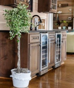 Brighter Blooms Variegated Ficus Triangularis Tree SHOP ALL 5 Brighter Blooms Variegated Ficus Triangularis Tree SHOP ALL