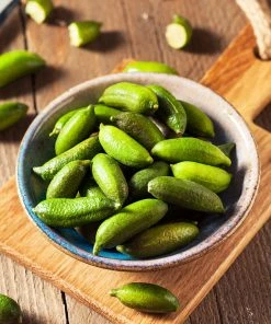 Brighter Blooms Citrus Trees Australian Finger Lime Tree