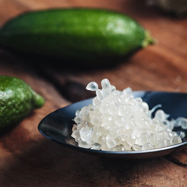 Brighter Blooms New Trees Australian Finger Lime Tree 1 Brighter Blooms New Trees Australian Finger Lime Tree