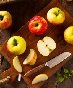 Brighter Blooms Fruit Trees Fuji Apple Tree 9 Brighter Blooms Fruit Trees Fuji Apple Tree