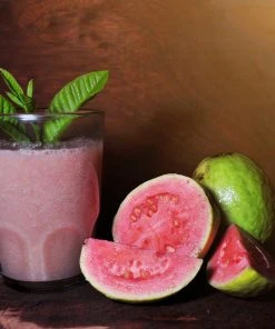 Brighter Blooms Guava Tree 'Ruby Supreme' SHOP ALL 8 Brighter Blooms Guava Tree 'Ruby Supreme' SHOP ALL