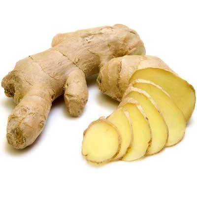 Brighter Blooms Ginger Plant 2 Brighter Blooms Ginger Plant