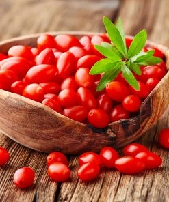 Brighter Blooms Fruit Trees Goji Berry Plant 8 Brighter Blooms Fruit Trees Goji Berry Plant