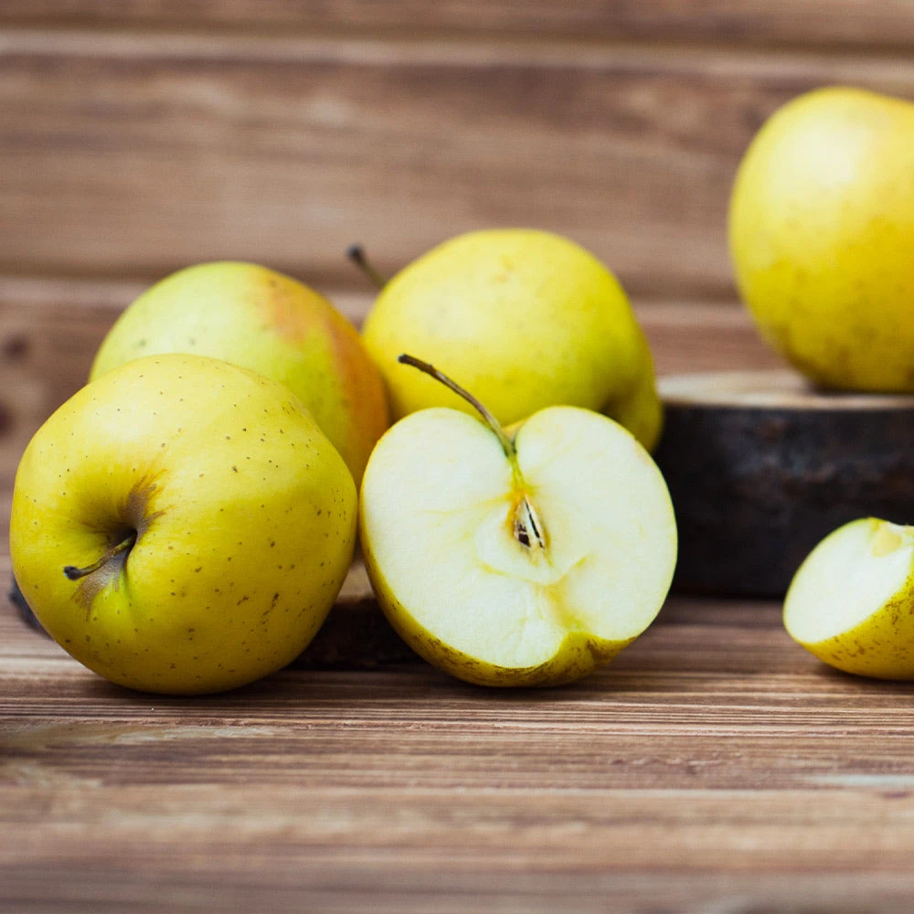 Brighter Blooms Golden Sentinel Columnar Apple Tree Fruit Trees 4 Brighter Blooms Golden Sentinel Columnar Apple Tree Fruit Trees