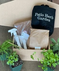 Brighter Blooms Patio Herb Garden House & Patio