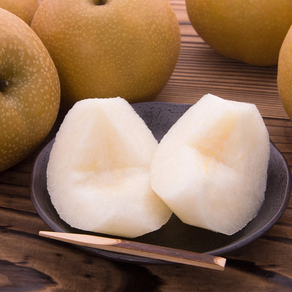 Brighter Blooms Fruit Trees Hosui Asian Pear Tree 5 Brighter Blooms Fruit Trees Hosui Asian Pear Tree