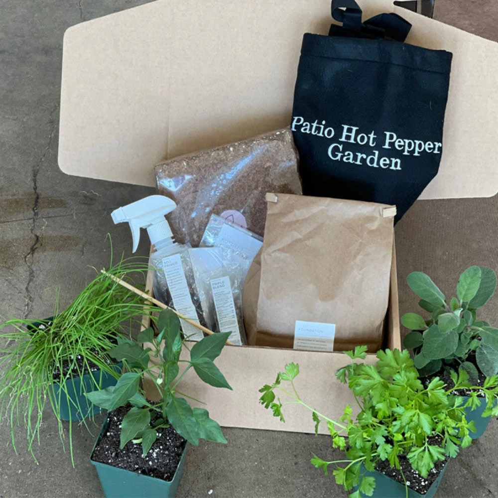 Brighter Blooms Patio Hot Pepper Garden House & Patio 2 Brighter Blooms Patio Hot Pepper Garden House & Patio