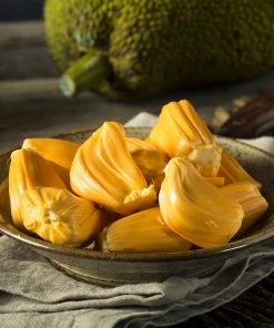 Brighter Blooms Jackfruit Tree Fruit Trees 8 Brighter Blooms Jackfruit Tree Fruit Trees