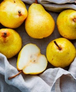 Brighter Blooms Fruit Trees Kieffer Pear Tree 9 Brighter Blooms Fruit Trees Kieffer Pear Tree