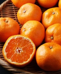 Brighter Blooms Kishu Mandarin Tree 8 Brighter Blooms Kishu Mandarin Tree