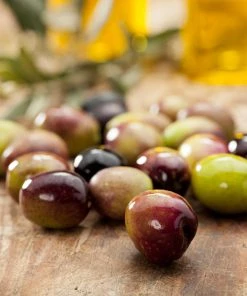 Brighter Blooms Leccino Olive Tree 5 Brighter Blooms Leccino Olive Tree