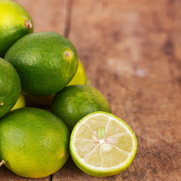 Brighter Blooms Limequat Tree New Trees 2 Brighter Blooms Limequat Tree New Trees