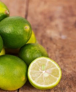 Brighter Blooms Citrus Trees Limequat Tree