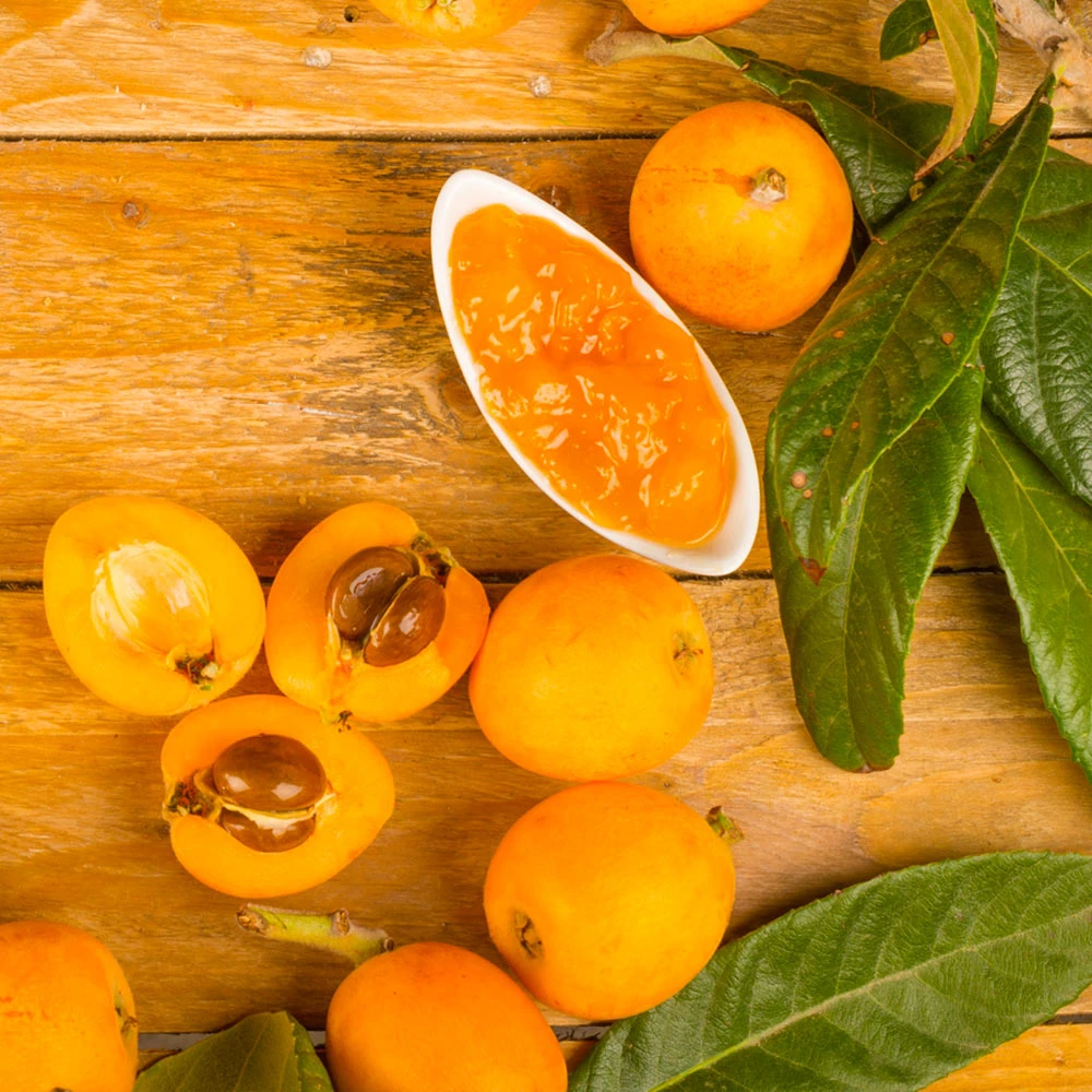 Brighter Blooms Loquat Tree Fruit Trees 5 Brighter Blooms Loquat Tree Fruit Trees